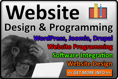 Website Design and Programming Services