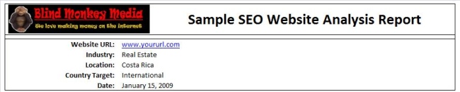 SEO Website Analysis Report Example