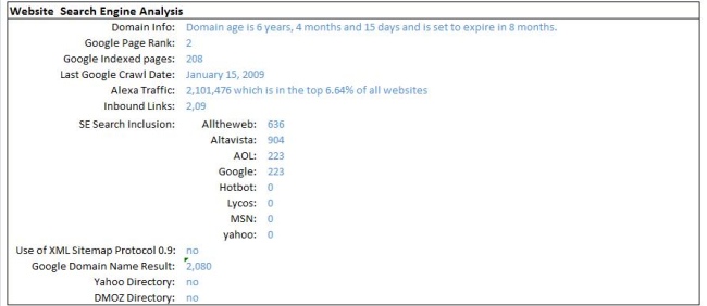 SEO Website Analysis Example
