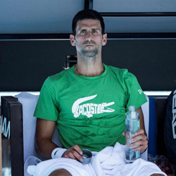Pay Per Head Report on Novak Djokovic and the Australian Open