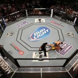 Ontario Sports Betting Regulator Reinstates Betting on UFC