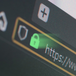 What You Need to Know About SSL Certificate for Your Betting Site